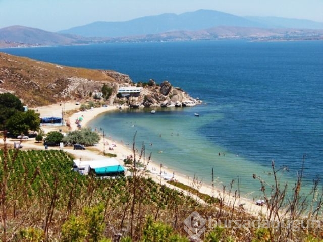 Avşa Adası'nda adım atacak yer kalmadı