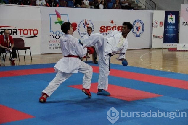 Türkler 11 kategoride finalde