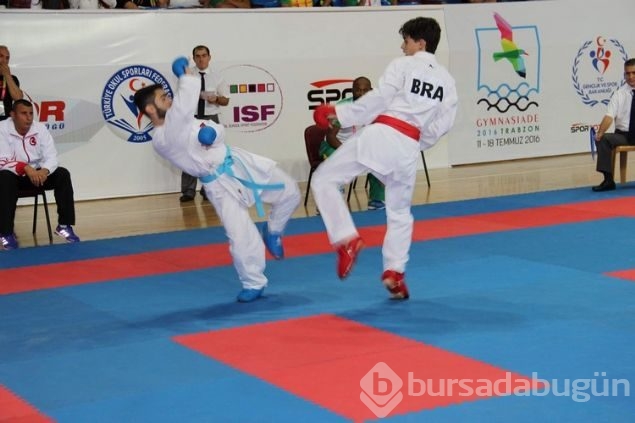 Türkler 11 kategoride finalde