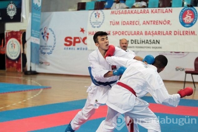 Türkler 11 kategoride finalde