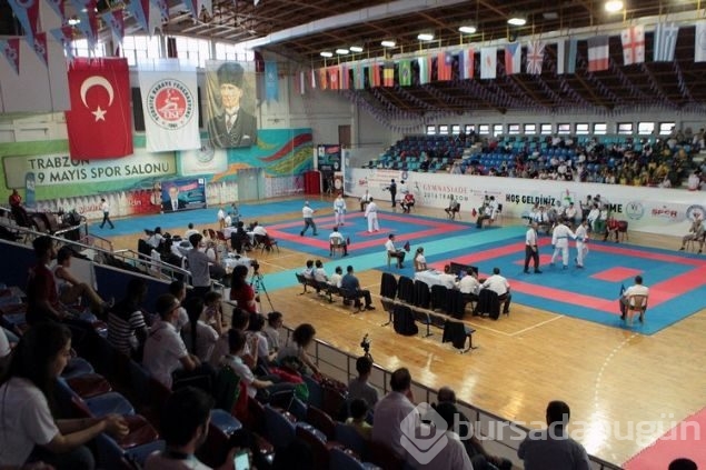 Türkler 11 kategoride finalde