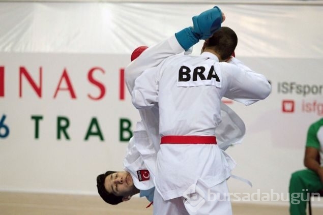 Türkler 11 kategoride finalde