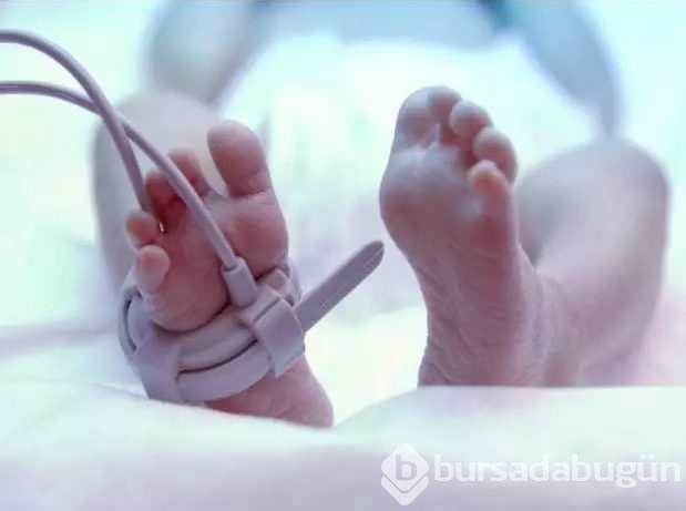 Mahkemenin bebeğini elinden aldığı vegan ailenin tartışma yaratan hikayesi