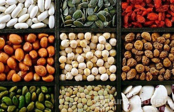 Mahkemenin bebeğini elinden aldığı vegan ailenin tartışma yaratan hikayesi