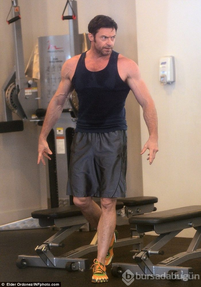 Bir Wolverine kolay yetişmiyor! Fotoğraflarla Wolverine antrenmanı!