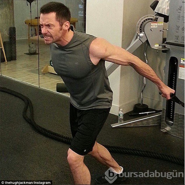 Bir Wolverine kolay yetişmiyor! Fotoğraflarla Wolverine antrenmanı!