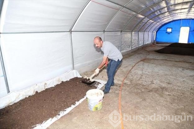İki berberin yaptığına inanamayacaksınız. ABD'den getirip burada üretiyorlar