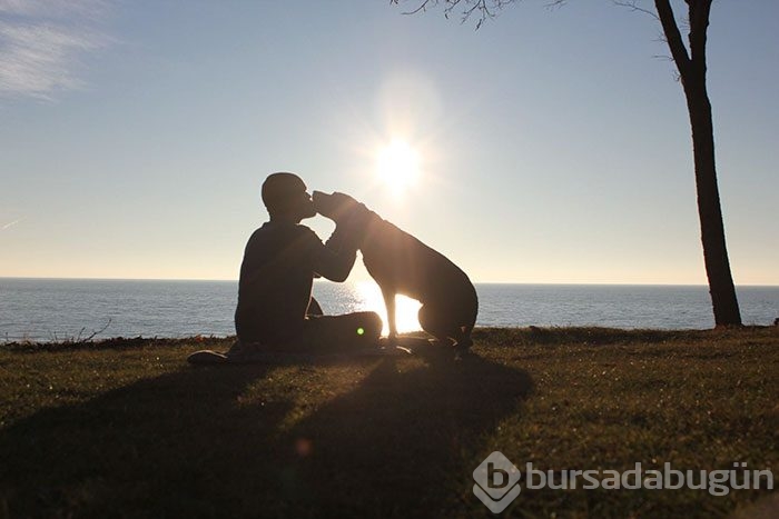 3 aylık ömrü kalan labradorla sahibinin veda tatili...