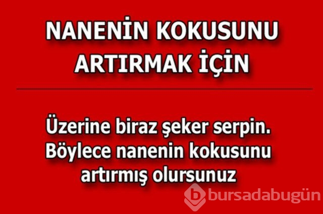 Günlük hayatta çok işinize yarayacak pratik bilgiler!