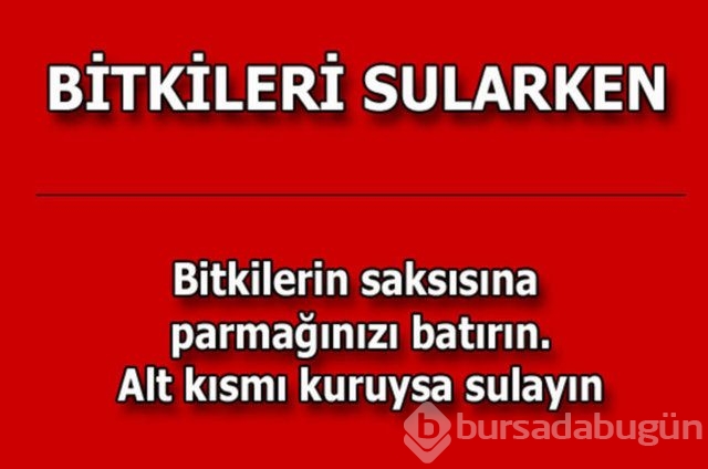 Günlük hayatta çok işinize yarayacak pratik bilgiler!