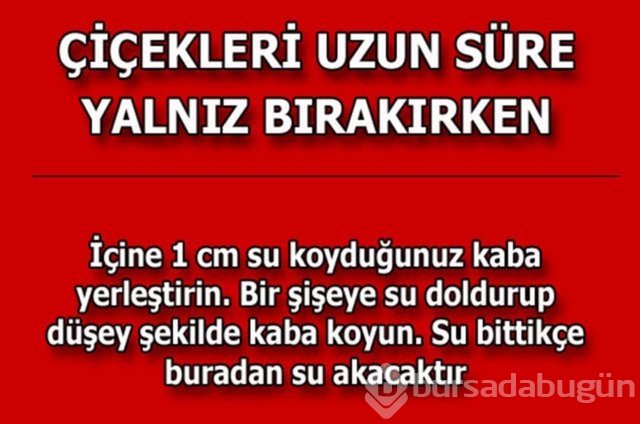 Günlük hayatta çok işinize yarayacak pratik bilgiler!