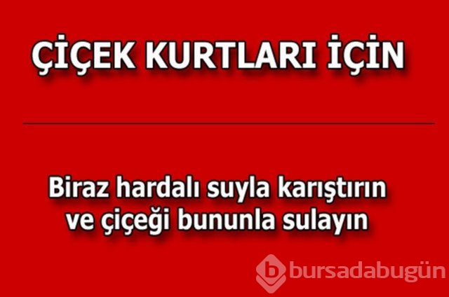 Günlük hayatta çok işinize yarayacak pratik bilgiler!