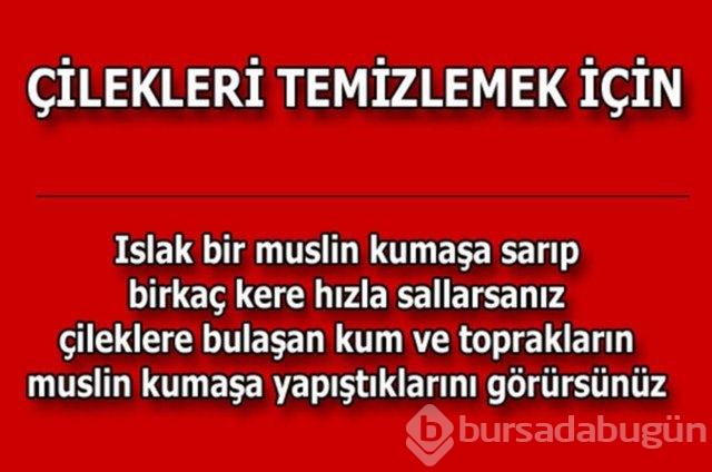 Günlük hayatta çok işinize yarayacak pratik bilgiler!