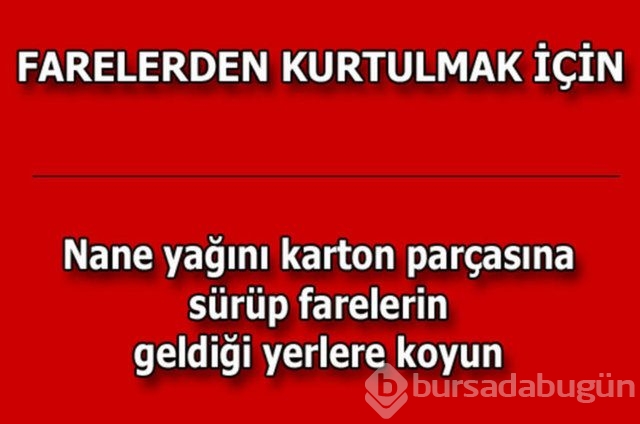 Günlük hayatta çok işinize yarayacak pratik bilgiler!