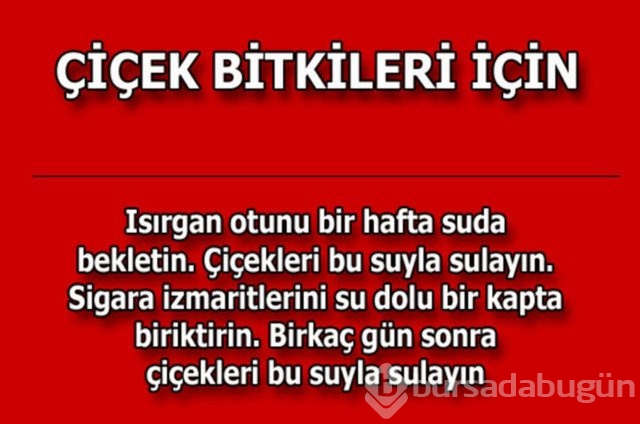 Günlük hayatta çok işinize yarayacak pratik bilgiler!