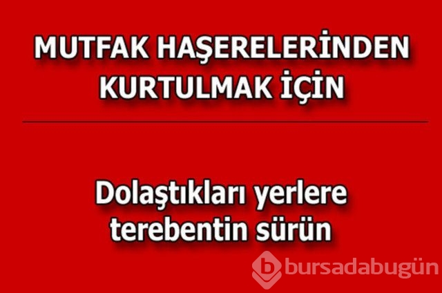 Günlük hayatta çok işinize yarayacak pratik bilgiler!