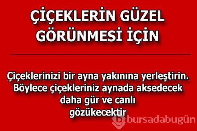 Günlük hayatta çok işinize yarayacak pratik bilgiler!
