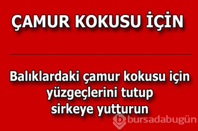 Günlük hayatta çok işinize yarayacak pratik bilgiler!