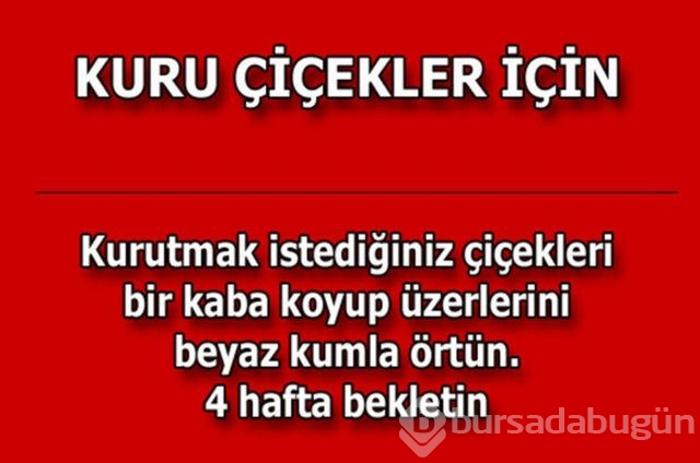 Günlük hayatta çok işinize yarayacak pratik bilgiler!