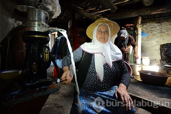 Kazanlar çeçil peyniri için kaynadı