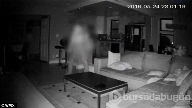 Kedisine baksın diye bir Türkle anlaştı ve böyle yakaladı