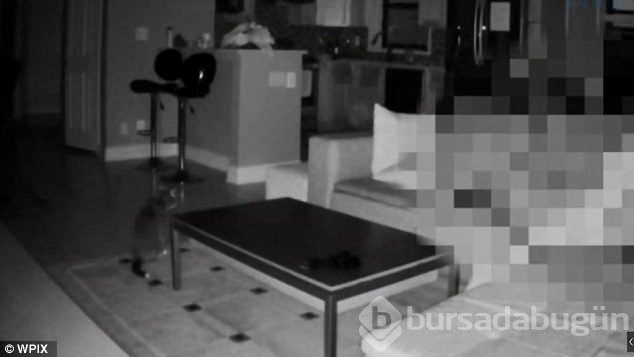 Kedisine baksın diye bir Türkle anlaştı ve böyle yakaladı