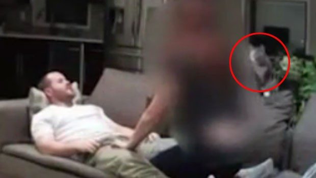 Kedisine baksın diye bir Türkle anlaştı ve böyle yakaladı