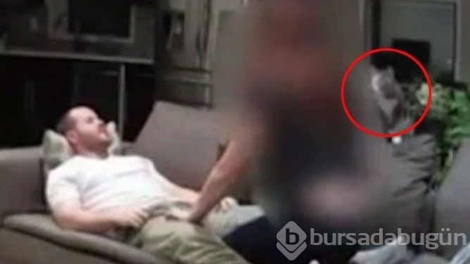 Kedisine baksın diye bir Türkle anlaştı ve böyle yakaladı