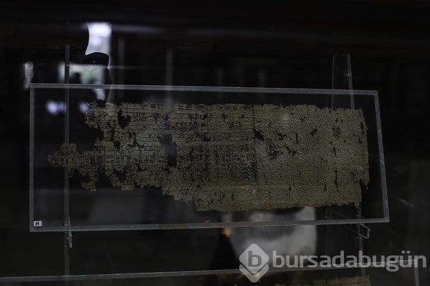Firavun Khufu dönemine ait papirus kağıtları sergilendi