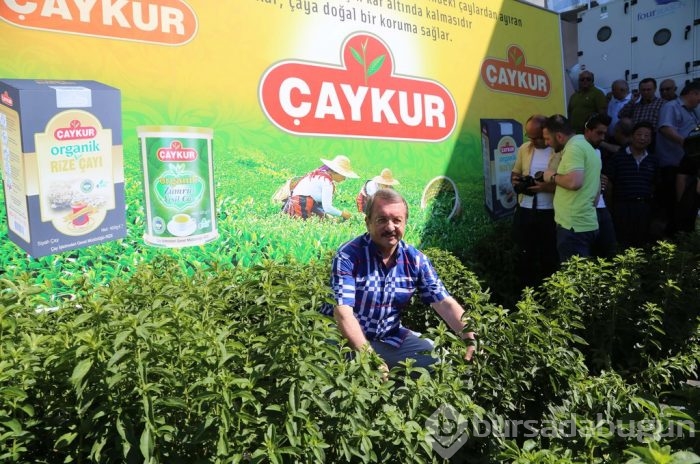 Karadeniz'de yeni tarım ürünü