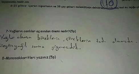 Bu cevaplar sizi güldürecek!