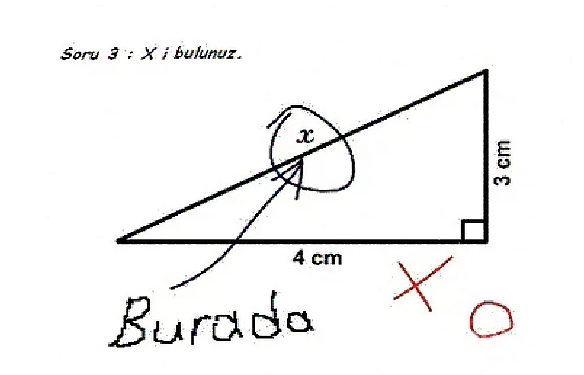 Bu cevaplar sizi güldürecek!