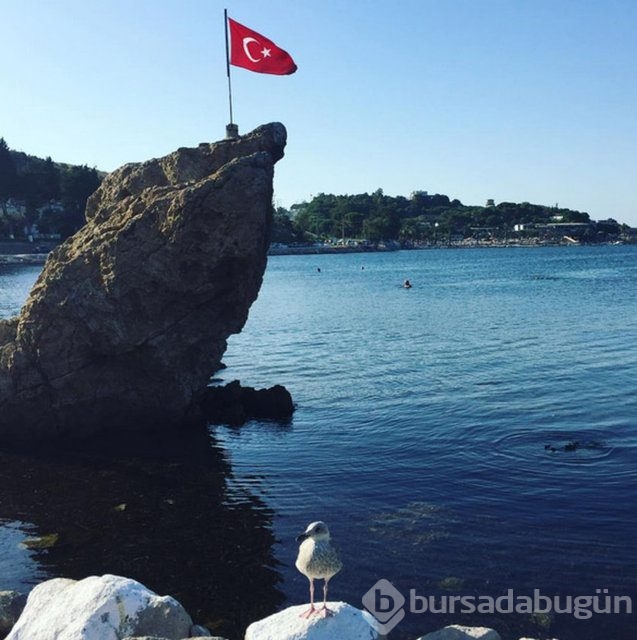 Ünlü isimlerden darbe girişimine tepki