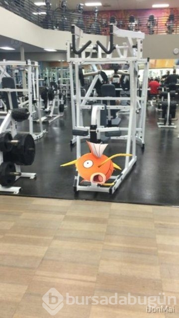 Pokemon görülen tuhaf yerler