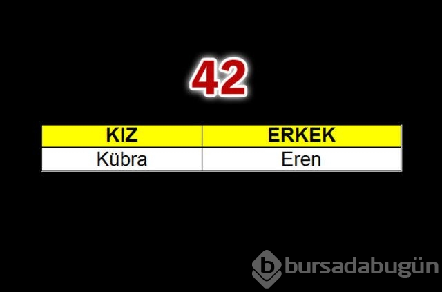 Geçen yılın bebeklerine en çok verilen isimler