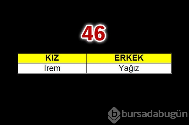 Geçen yılın bebeklerine en çok verilen isimler