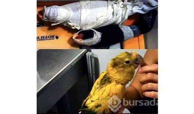 Havaalanı güvenliğine yakalandılar