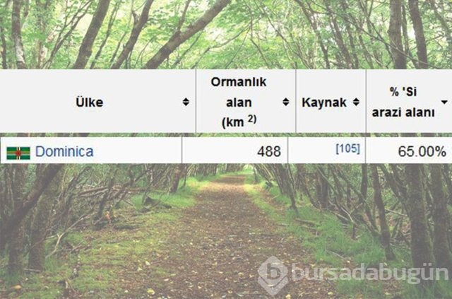 Dünyanın en yeşil ülkeleri sıralaması