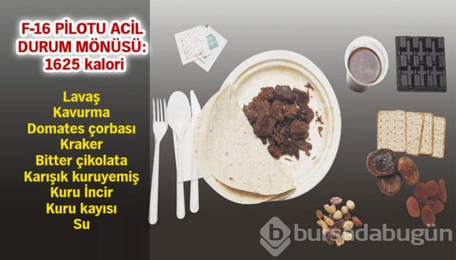 Dünya askerlerinin yemekleri