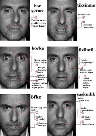 'Lie To Me' Dizisinden yalanlar hakkında bilgiler