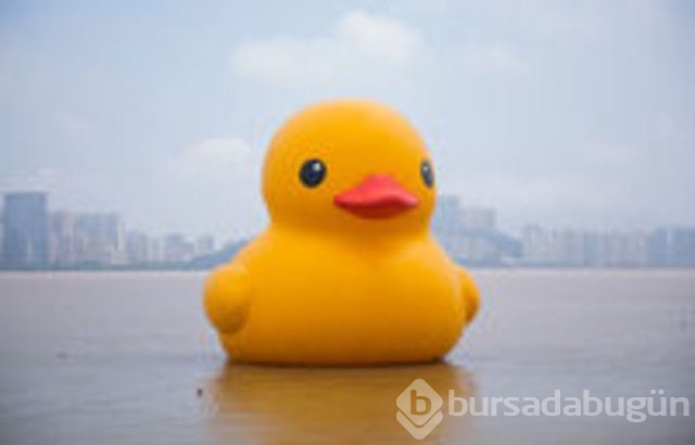 Dünyanın en büyük ördeği Çin sularında