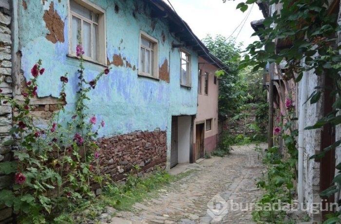 Buram buram tarih kokan Osmanlı köyü: Cumalıkızık