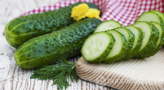 Salatalık güzellik için birebir!