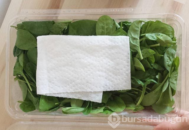 Mutfakta işinize yarayacak bilgiler!