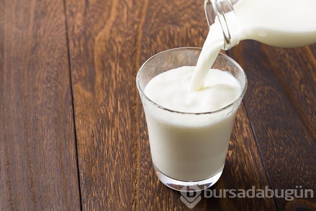 Kedinize vermemeniz gereken yiyecekler