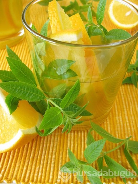 Limonlu suyun faydaları