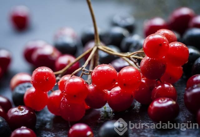 Mikroplara karşı kızılcık!