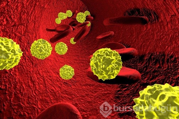 Hepatitden korunma yolları