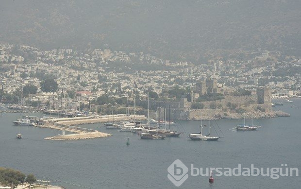 Bodrum'da yangın!