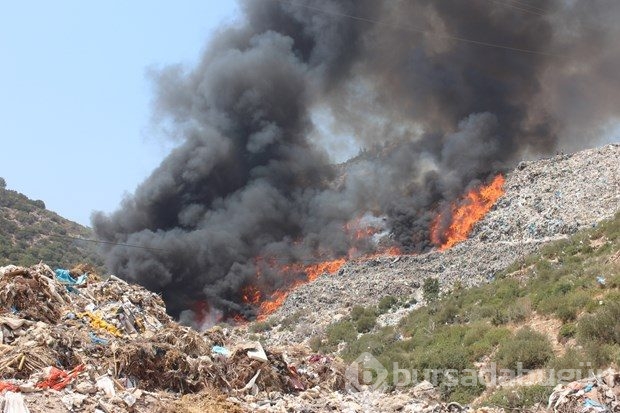 Bodrum'da yangın!